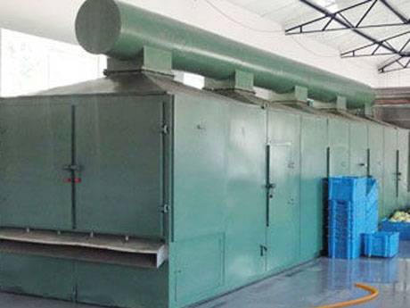 芒果烘干机 芒果烘干机