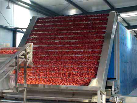 罗汉果烘干机 罗汉果烘干机